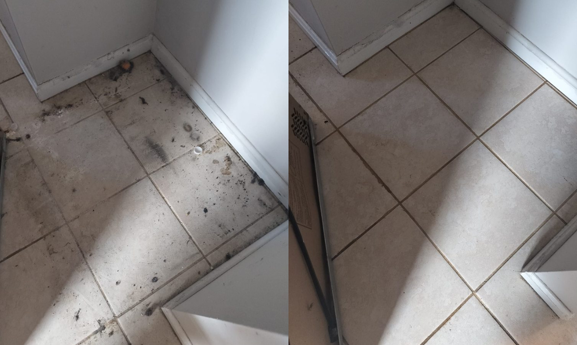 Move-In/Move-Out Cleaning